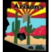 ARIZONA STATE SHAPE FLAG COLORS PIN